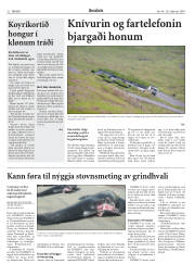 Síða 32