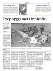 Síða 29