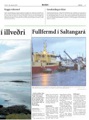 Síða 15