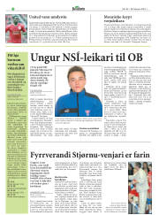 Síða 20