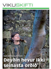Síða 1