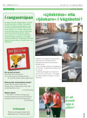 Síða 6