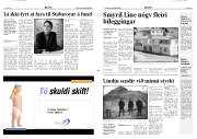 Síða 3