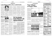 Síða 6