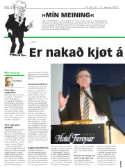 Síða 22