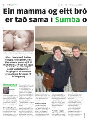 Síða 8