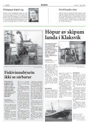 Síða 8