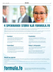 Síða 25