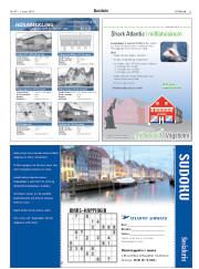 Síða 31
