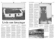 Síða 11
