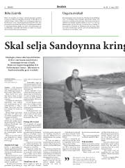 Síða 8