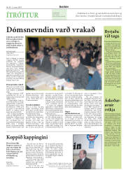 Síða 15