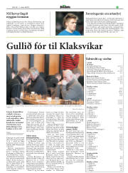 Síða 17