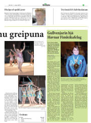Síða 19