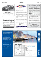 Síða 29