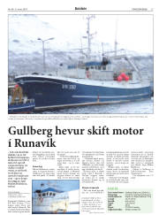 Síða 15