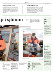 Síða 19