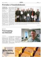 Síða 15