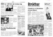 Síða 7