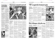 Síða 8