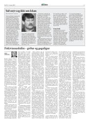 Síða 13