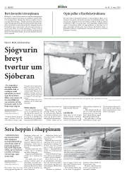 Síða 20