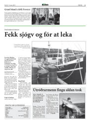 Síða 21