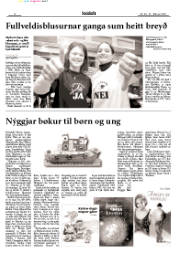 Síða 8