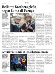 Síða 29