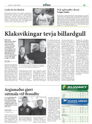 Síða 36
