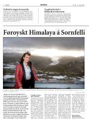 Síða 6