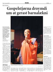 Síða 17