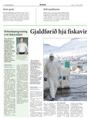 Síða 20