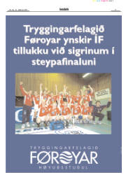 Síða 17