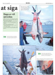 Síða 25