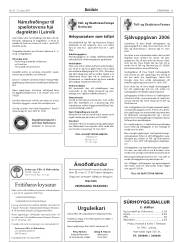 Síða 31