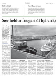 Síða 6