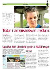 Síða 24
