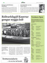 Síða 33