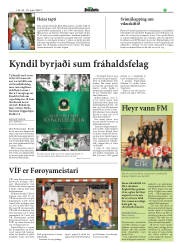 Síða 17
