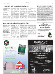 Síða 31