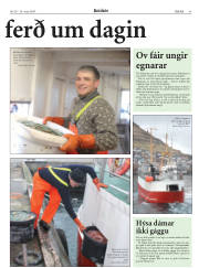 Síða 41
