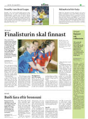 Síða 20
