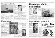Síða 3