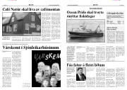 Síða 5