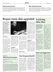 Síða 8