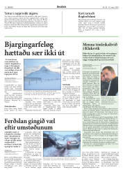 Síða 15