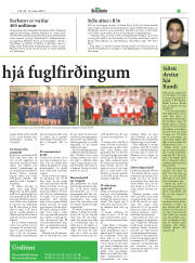 Síða 20