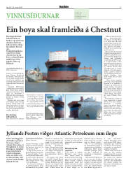 Síða 17