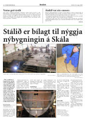 Síða 20